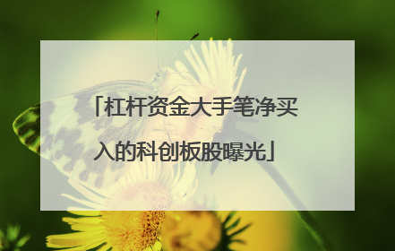 杠杆资金大手笔净买入的科创板股曝光