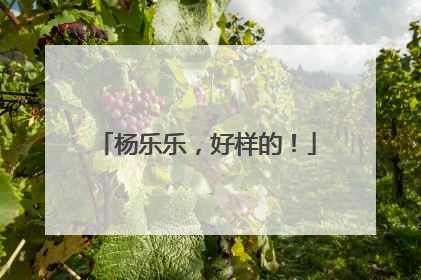 杨乐乐，好样的！