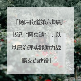杨园街道第六期副书记“圆桌谈”：以基层治理实践助力战略支点建设
