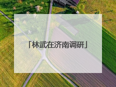 林武在济南调研