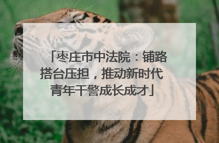 枣庄市中法院：铺路搭台压担，推动新时代青年干警成长成才