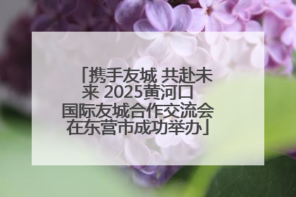 携手友城 共赴未来 2025黄河口国际友城合作交流会在东营市成功举办