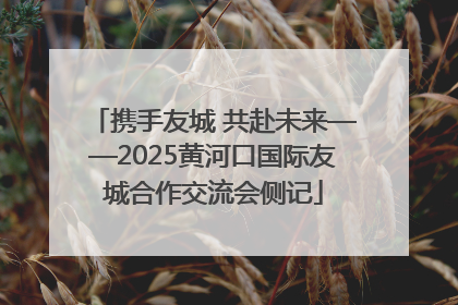 携手友城 共赴未来——2025黄河口国际友城合作交流会侧记