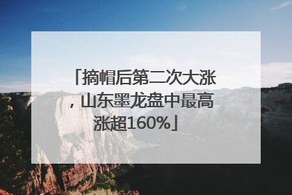 摘帽后第二次大涨，山东墨龙盘中最高涨超160%