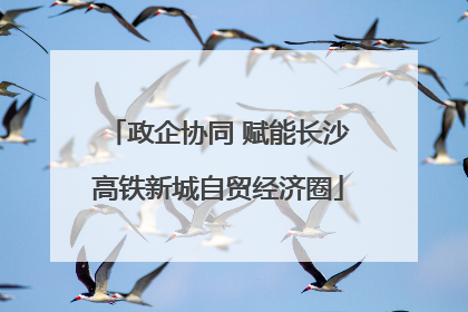 政企协同 赋能长沙高铁新城自贸经济圈
