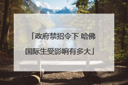 政府禁招令下 哈佛国际生受影响有多大