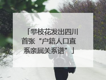 攀枝花发出四川首张“户籍人口直系亲属关系谱”