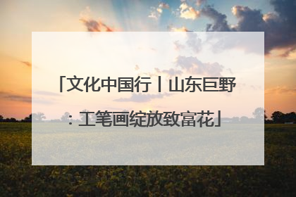 文化中国行丨山东巨野：工笔画绽放致富花