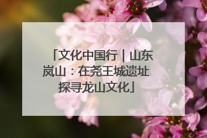 文化中国行｜山东岚山：在尧王城遗址探寻龙山文化