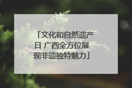 文化和自然遗产日 广西全方位展现非遗独特魅力