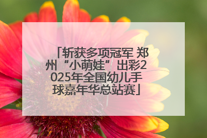 斩获多项冠军 郑州“小萌娃”出彩2025年全国幼儿手球嘉年华总站赛
