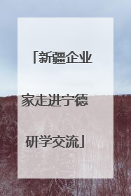 新疆企业家走进宁德研学交流