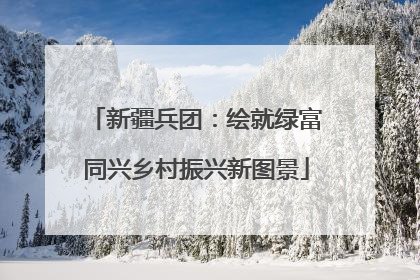 新疆兵团：绘就绿富同兴乡村振兴新图景