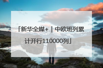 新华全媒+｜中欧班列累计开行110000列