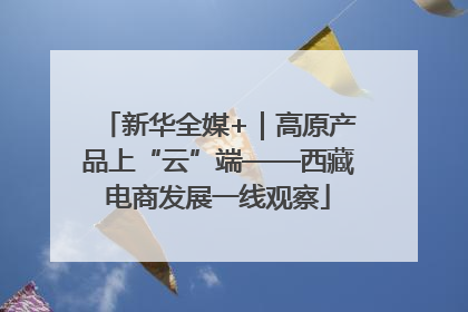 新华全媒+｜高原产品上“云”端——西藏电商发展一线观察