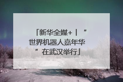 新华全媒+丨“世界机器人嘉年华”在武汉举行