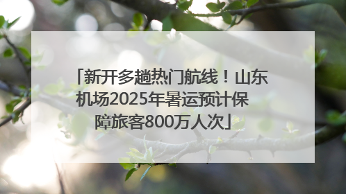 新开多趟热门航线！山东机场2025年暑运预计保障旅客800万人次