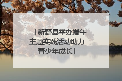 新野县举办端午主题实践活动助力青少年成长