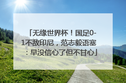 无缘世界杯！国足0-1不敌印尼，范志毅语塞：早没信心了但不甘心