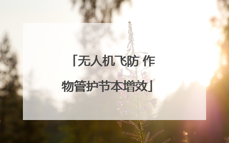 无人机飞防 作物管护节本增效
