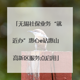无锡社保业务“就近办”惠心e站惠山高新区服务点启用