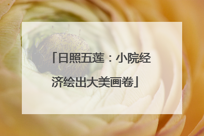 日照五莲：小院经济绘出大美画卷