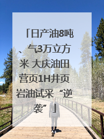 日产油8吨、气3万立方米 大庆油田营页1H井页岩油试采“逆袭”