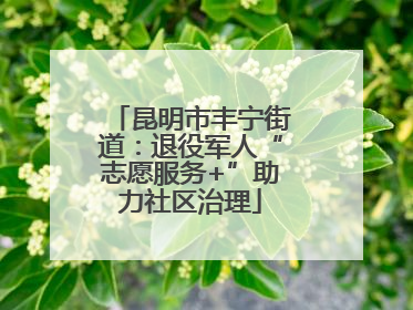 昆明市丰宁街道：退役军人“志愿服务+”助力社区治理