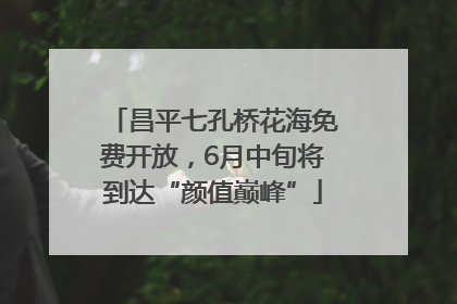 昌平七孔桥花海免费开放，6月中旬将到达“颜值巅峰”