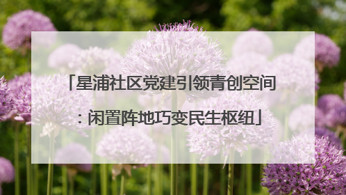 星浦社区党建引领青创空间：闲置阵地巧变民生枢纽