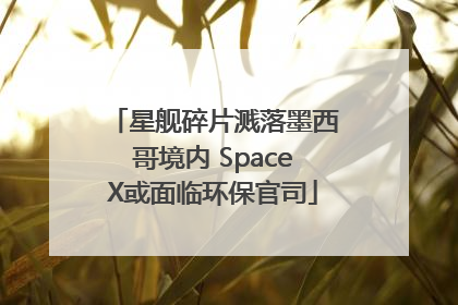 星舰碎片溅落墨西哥境内 SpaceX或面临环保官司