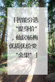智能分选“提身价”，仙居杨梅优质优价变“金果”