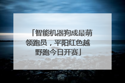 智能机器狗成最萌领跑员，平阳红色越野跑今日开赛
