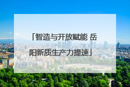 智造与开放赋能 岳阳新质生产力提速