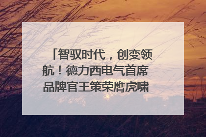 智驭时代，创变领航！德力西电气首席品牌官王策荣膺虎啸奖年度品牌人物