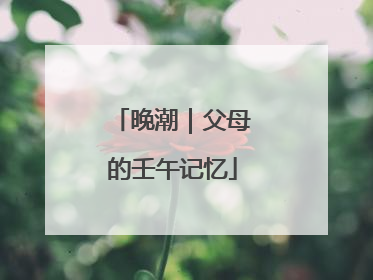 晚潮｜父母的壬午记忆
