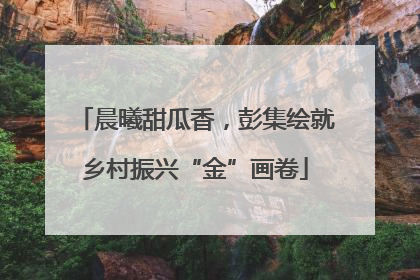 晨曦甜瓜香，彭集绘就乡村振兴“金”画卷