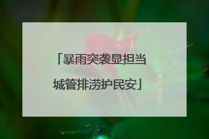 暴雨突袭显担当 城管排涝护民安
