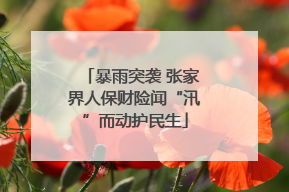 暴雨突袭 张家界人保财险闻“汛”而动护民生
