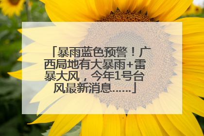暴雨蓝色预警！广西局地有大暴雨+雷暴大风，今年1号台风最新消息……