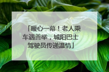 暖心一幕！老人乘车遇善举，城阳巴士驾驶员传递温情