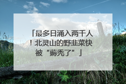 最多日涌入两千人！北灵山的野韭菜快被“薅秃了”