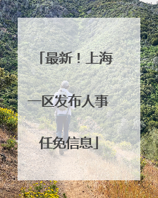 最新！上海一区发布人事任免信息