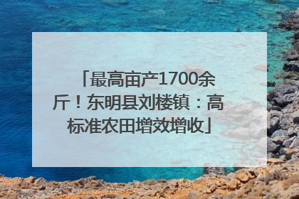 最高亩产1700余斤！东明县刘楼镇：高标准农田增效增收
