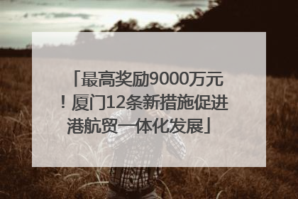 最高奖励9000万元！厦门12条新措施促进港航贸一体化发展