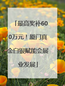 最高奖补600万元！厦门真金白银赋能会展业发展