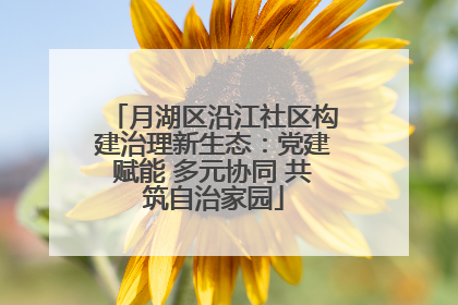 月湖区沿江社区构建治理新生态：党建赋能 多元协同 共筑自治家园