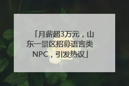 月薪超3万元，山东一景区招募语言类NPC，引发热议