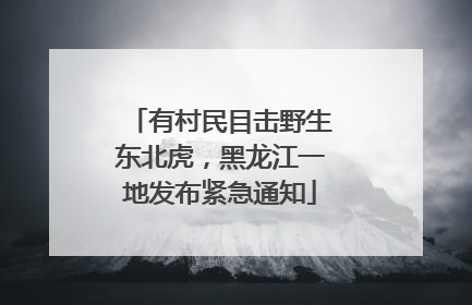 有村民目击野生东北虎，黑龙江一地发布紧急通知