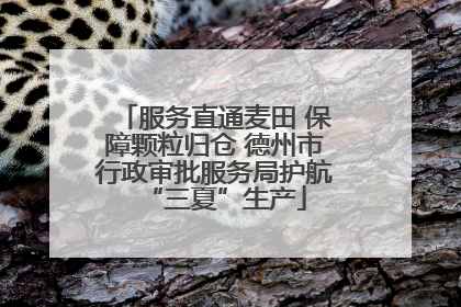 服务直通麦田 保障颗粒归仓 德州市行政审批服务局护航“三夏”生产